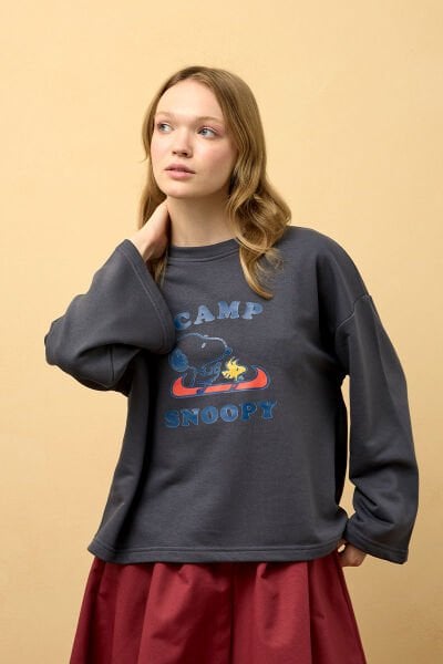 Antrasit Snoopy Baskılı 3 ip Body